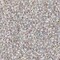 Miyuki 11 Round Seed Bead, 11-1001, Silver Lined Crystal AB, 13 grams